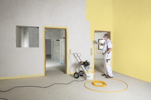 ProSpray 3.25