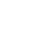 icona design